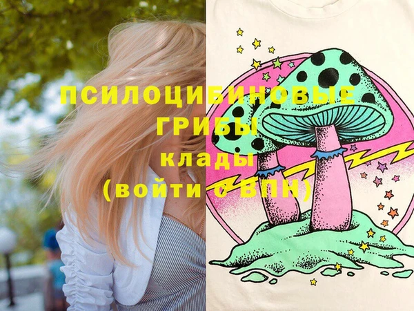 мяу мяу мука Гусиноозёрск