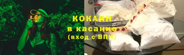 сатива Дмитровск