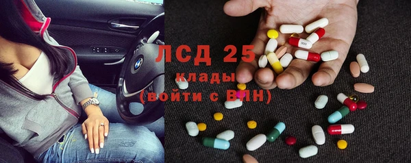 сатива Дмитровск