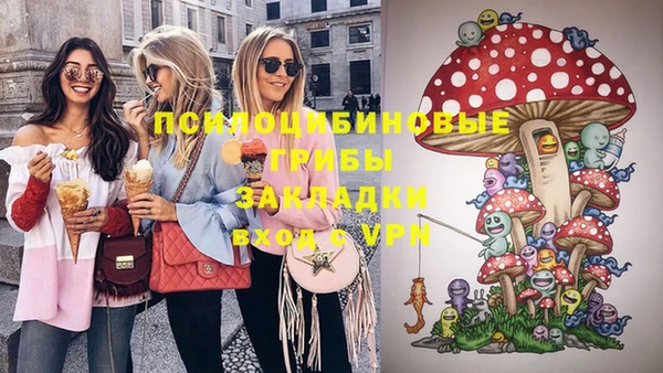 хмурый Дмитриев