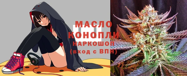 сатива Дмитровск