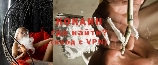 apvp Гусев