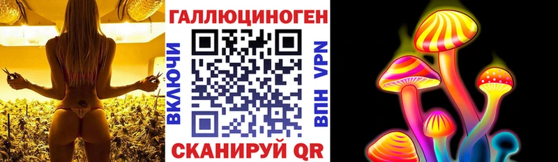 Псилоцибиновые грибы Cubensis  где можно купить   Дивногорск 