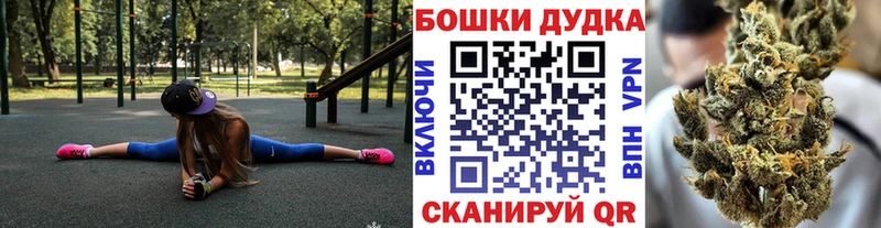 Каннабис план  Дивногорск 